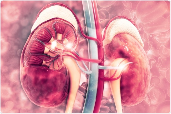 chronic kidney disease